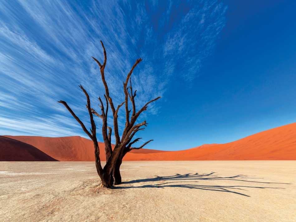 Colours of Deadvlei | Peter Walton