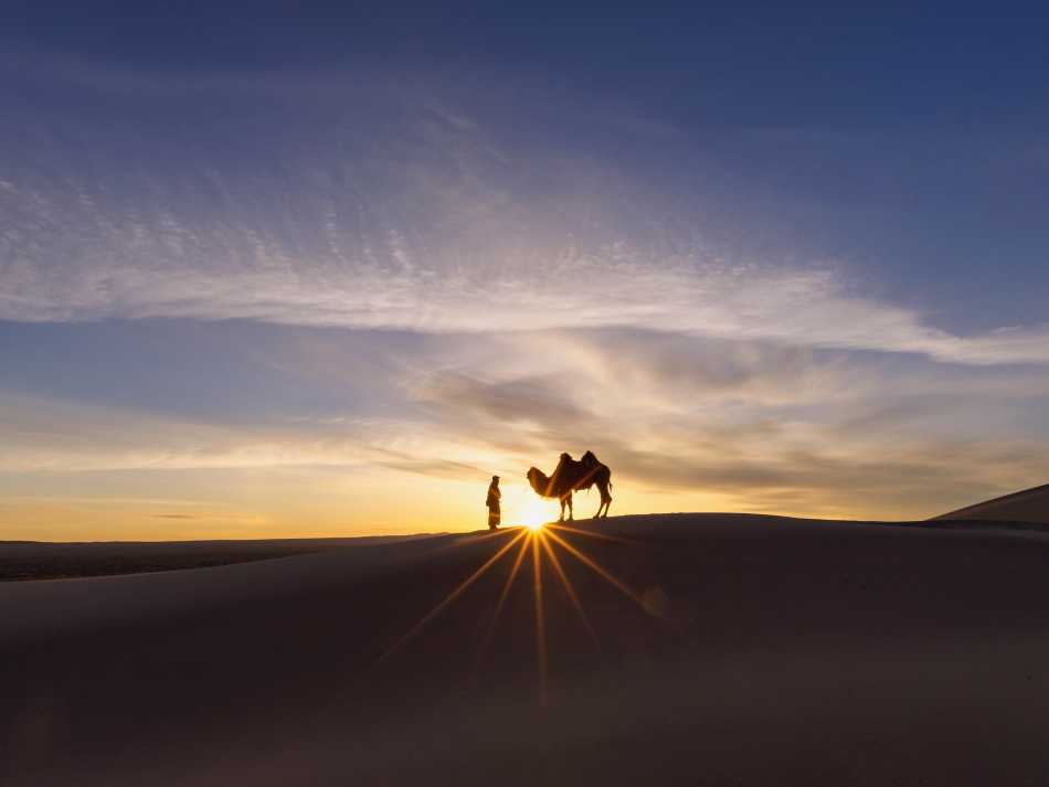Experience the magic of Mongolia's Gobi Desert