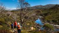 Hikers on our Snowies Alpine Walk experience |  Lachlan Gardiner