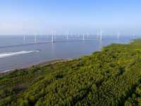 Our Positive Impact Projects, such as the Bac Lieu Vietnam Wind Project, supports local economies and their sustainable development. |  South Pole