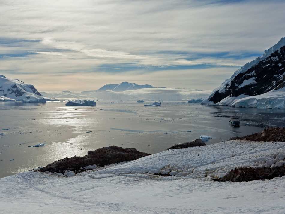 Antarctic scenery | Peter Walton