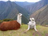 Making new friends on the Inca Trail |  Bette Andrews